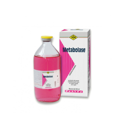 METABOLASE Iniett.500ml
